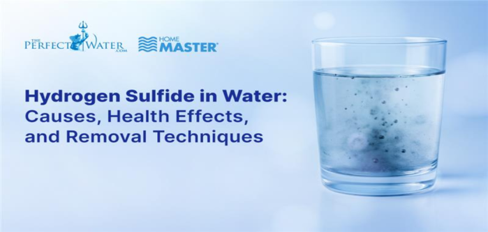 Hydrogen Sulfide in Water