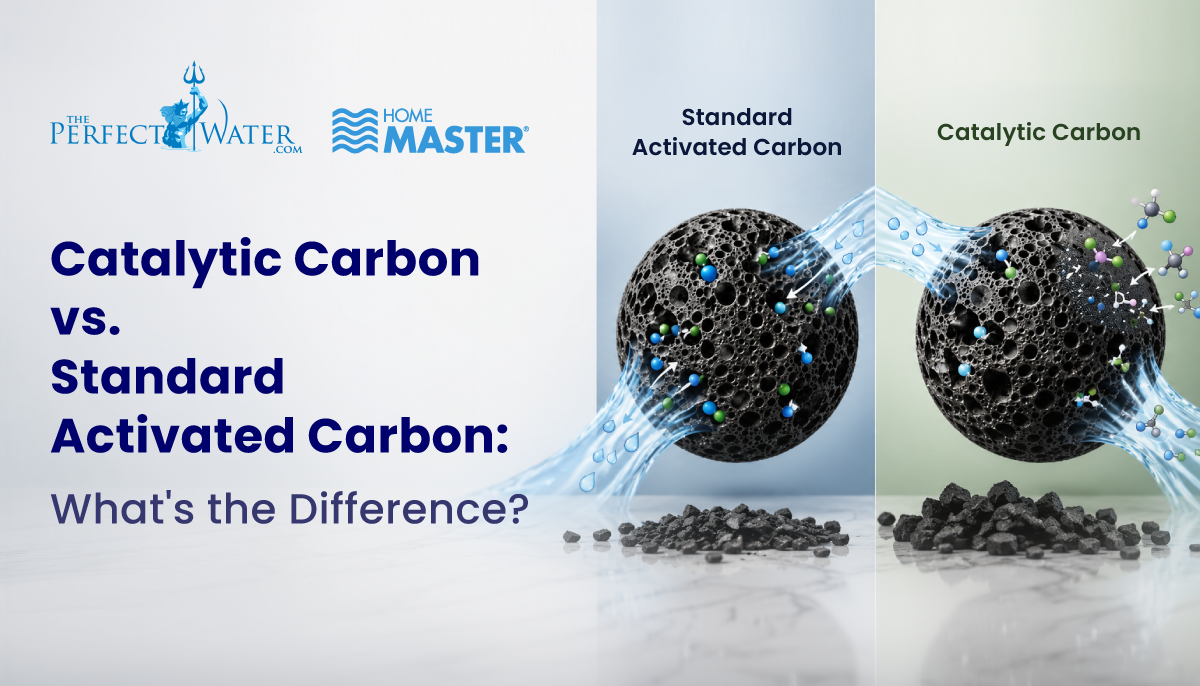 Catalytic Carbon vs. Standard Activated Carbon