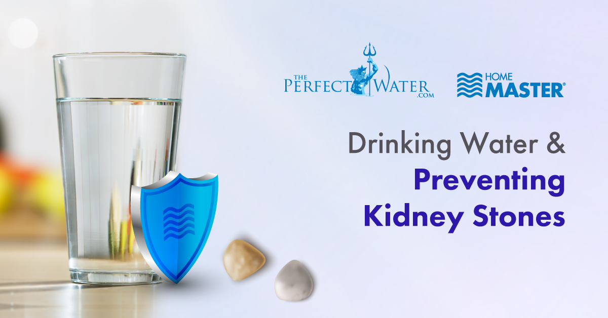 Water Consumption & Its Impact on Your Kidney Health
