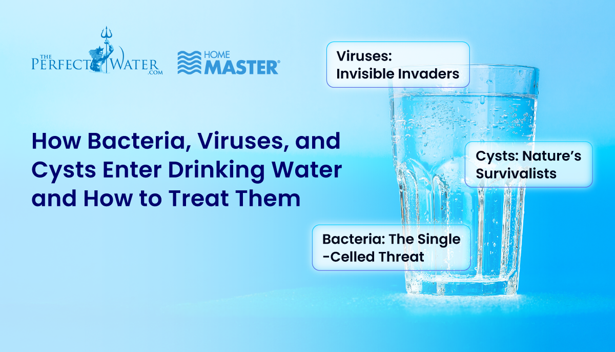 Bacteria, viruses, and cysts in drinking water