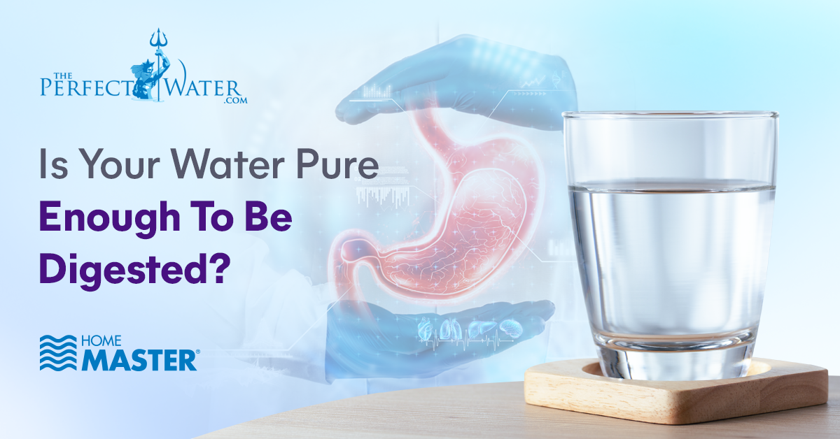 Is Your Water Pure Enough To Be Digested