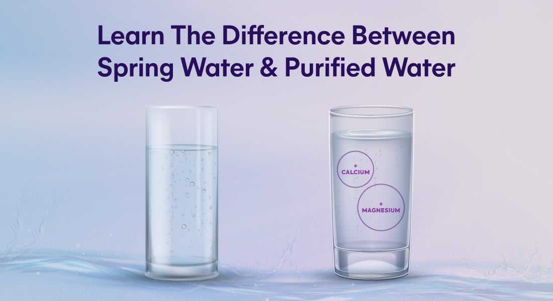 Spring vs. Purified Water