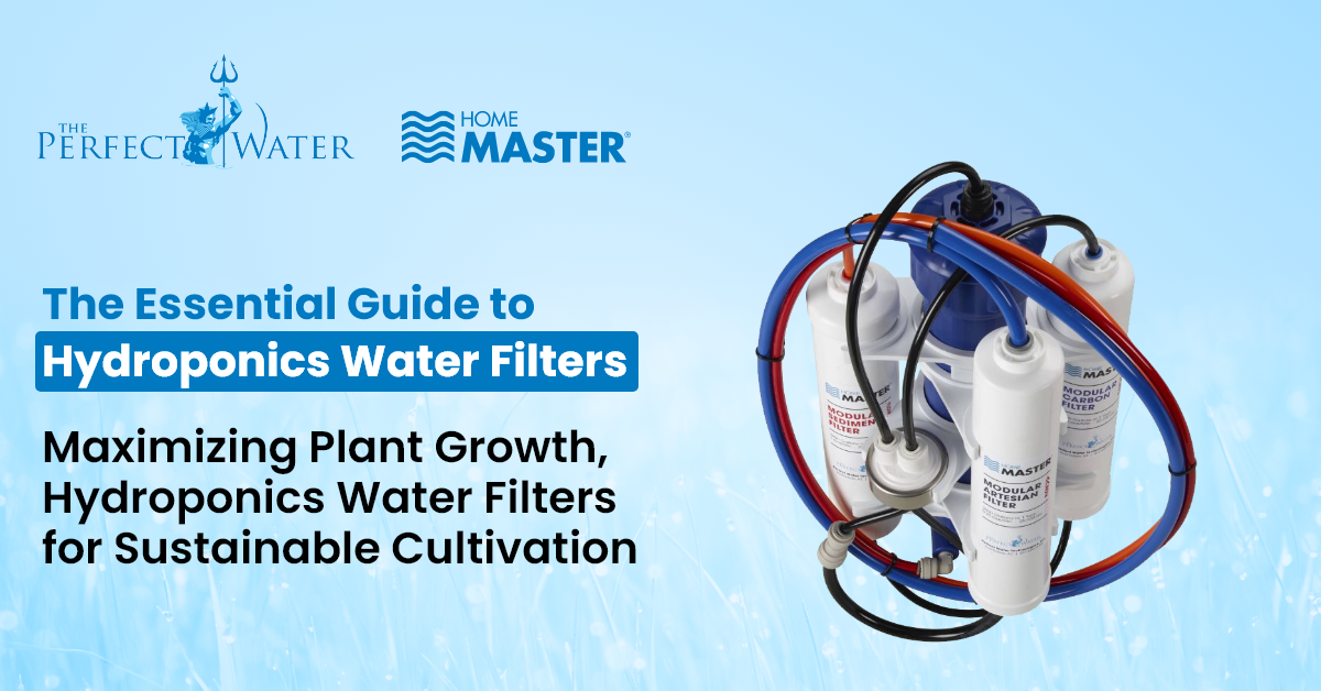 The Essential Guide to Hydroponics Water Filters